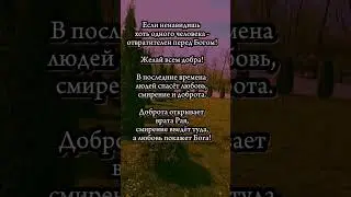 Если ненавидишь хоть одного человека... #shorts #вера #духовность #Бог #библия #богестьлюбовь