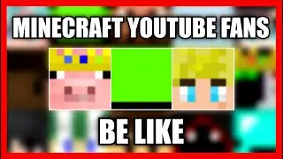 Every Minecraft YouTube Fan...