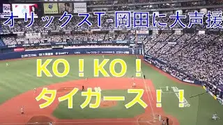 代打　T-岡田に京セラドームが今日イチの大声援　SMBC日本シリーズ2023 第2戦　2023.10.29