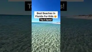 📍Best Beaches In Florida For Kids! 🌴⛱️🌴#florida #floridabeaches #drytortugas #peanutisland #beach