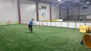 Ларри аджилити 16 04 17