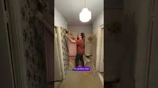 Как легко оторвать обои от стен