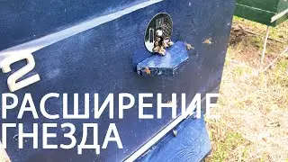 Первый осмотр | Расширяю вощиной