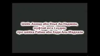 Шейх Ахмад Ан-Наджми - про шейха Раби'а Мадхали.