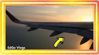 Doha Qatar International Airport Flight Doha - Dubai Aviation Airplane Plane