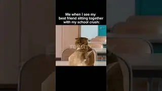 Just why 💀..                              #catmemes #funny #memes #relationship