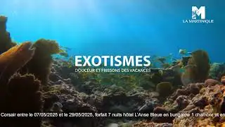 Découvrez La Martinique et son Hôtel L'Anse Bleue !