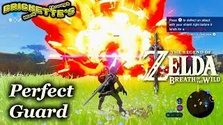 Perfect Guard/Parry in Zelda Breath of the Wild; TotK - Get GUARDIANS; Just a Pot Lid or any shield