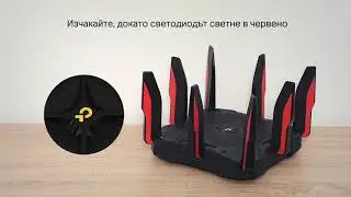 TP-Link 