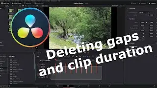 DaVinci Resolve - clip duration, delete gaps and un-grouping images