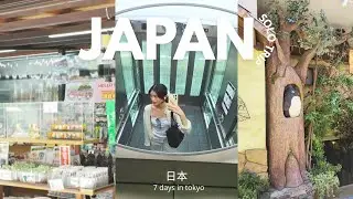 solo trip to japan for the first time - 7 days in tokyo