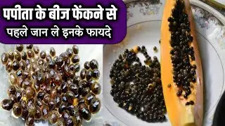 papita ke beej ke fayde | पपीता के बीज के फायदे | पपीता बीज खाने के फायदे benefits of papaya seeds