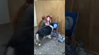 Самый милый художник (the cutest artist)