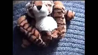 Mr  Stripes in Heat | MUST BE 18 XXX | PRICELESS!