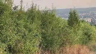 Eger, Keleti dűlők (Eastern hillsides)