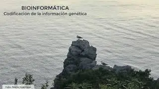 Bioinformática: 3. Codificación de la información genética.