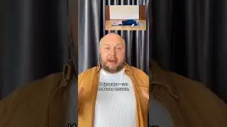 Про брамари. Сохраняй и подписывайся! #shorts