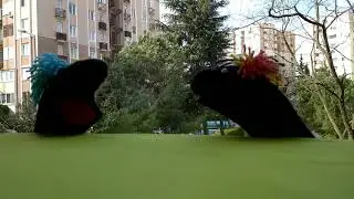 El Yıkamanın Önemi