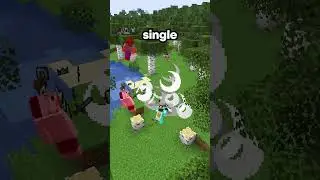 Why Flex SMP Beats Donut SMP 