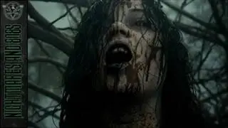 ✚ DROGMA- Angel ✚