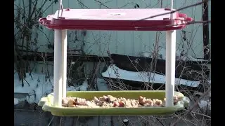 Зимняя столовая. Winter dining