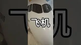 PLANE (Trick 2) #plane  #tiktok #shortsvideo #shortsfeed #doityourself #face #chinese #amazing #cute