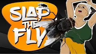 Троллим и Подыхаем В SLAP THE FLY