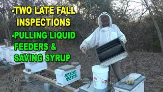 Pulling Liquid Feeders & Fall Beehive Inspections 2022 S6E69 