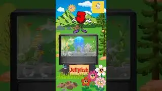 Alphabet Animals || J for Jellyfish || Animals || Jellyfish