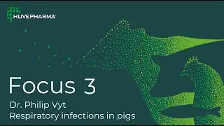 Focus 3 - Diagnosis of respiratory infections in pigs