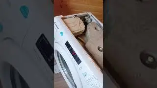 РЕМОНТ СТИРАЛКИ