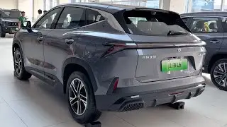NEW 2024 Jetour Shanhai L6 in-depth Walkaround