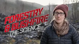 FORESTRY AND FIRE
