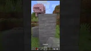 Тайная дверь в Майнкрафт #майнкрафт #minecraft #тикток