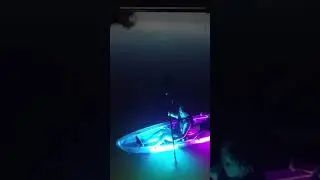 Adventure with a friend in a CLEAR kayak during our glow tours on Grapevine Lake!