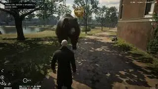 AK PEDMENU & ANIMAL LIFE SYSTEM