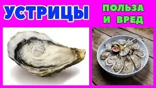 УСТРИЦЫ: польза и вред для человека + приготовим устрицы в мини духовке + суп из устриц