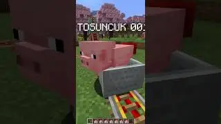 RİSKLİ MİNECRAFT DENEYİ! #minecraft