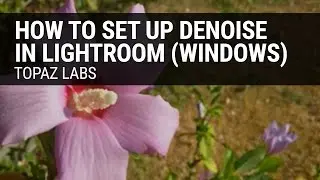 How to set up Topaz DeNoise in Lightroom (Windows)