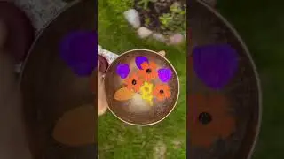 The Magic of the Healing Vibration #healingvibes #singingbowl #soundhealing #flowerpower