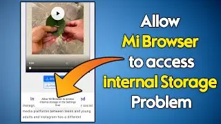 How to Solve Allow Mi Browser to access internal storage in the settings first problem