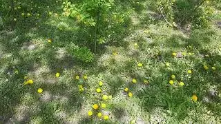 Наконец-то ВЕСНА!!🌺🌸 что может быть прекрасней!! Ура потеплело! Теплый солнечный день. Долой холода!