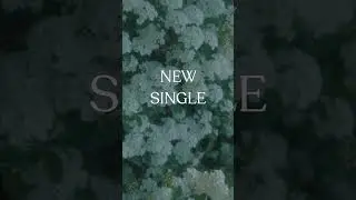 Available Now!! 