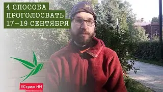 О возможностях проголосовать 17-19 сентября. Стриж-НН 2021