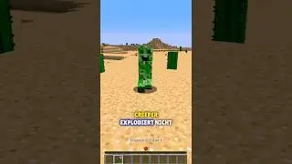 Wie Minecraft fast VERBOTEN wurde...😳❌ 