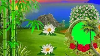 Green screen video / new green screen video / green screen status / green screen templat  video