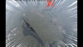 Elder Spinosaurus VS Elder T-Rex - Prior Extinction