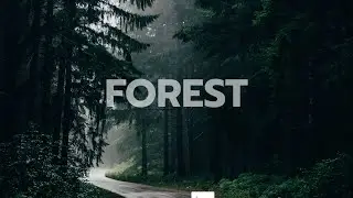 Show Your Header on Scroll: HTML, CSS & JS Tutorial for a Dynamic Website Experience