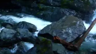 Rosewall Creek Waterfalls 4.10.16