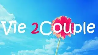 Vie2couple (S01E03) - La bifle